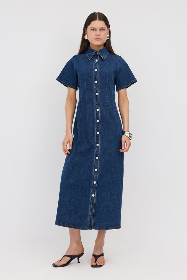 Denim Alyssia Maxi Dress